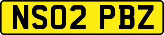 NS02PBZ