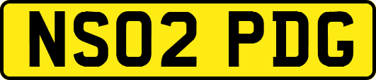 NS02PDG