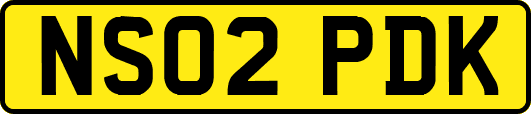 NS02PDK