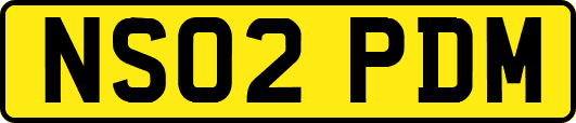 NS02PDM