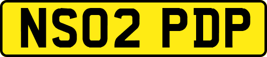NS02PDP