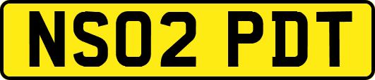 NS02PDT