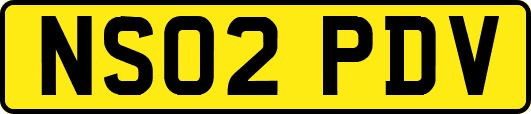 NS02PDV