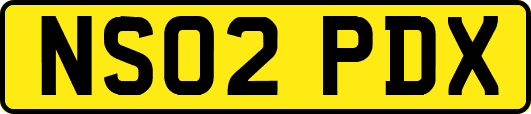 NS02PDX