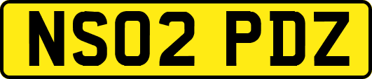 NS02PDZ