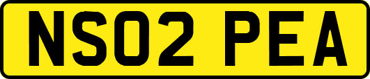 NS02PEA