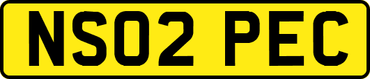 NS02PEC
