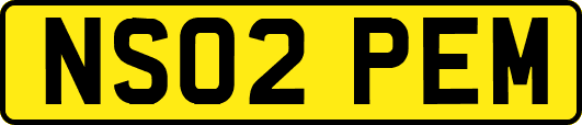 NS02PEM