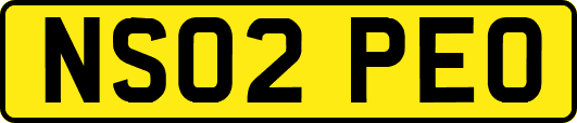 NS02PEO