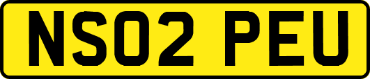 NS02PEU