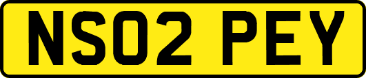 NS02PEY