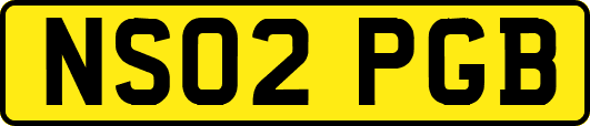 NS02PGB