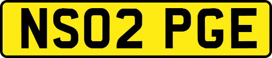 NS02PGE