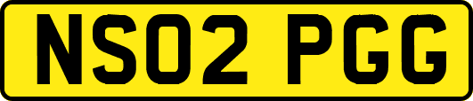 NS02PGG