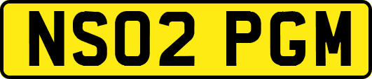 NS02PGM