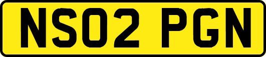 NS02PGN