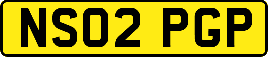 NS02PGP