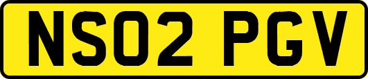 NS02PGV