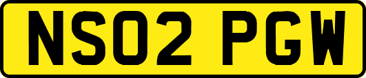 NS02PGW