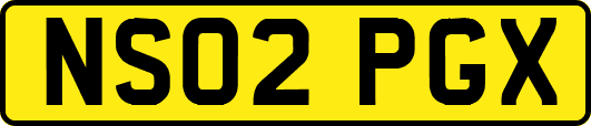 NS02PGX