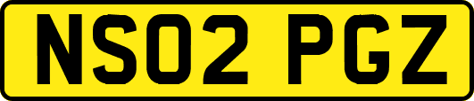 NS02PGZ