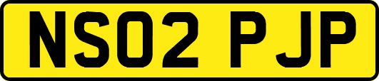 NS02PJP