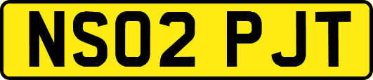 NS02PJT