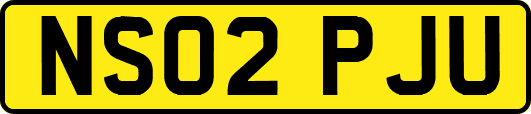 NS02PJU