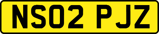 NS02PJZ