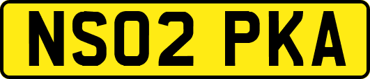 NS02PKA