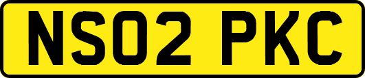 NS02PKC