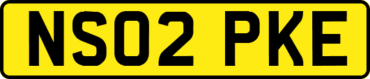 NS02PKE