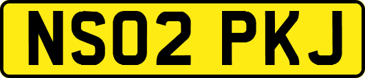 NS02PKJ