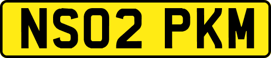 NS02PKM