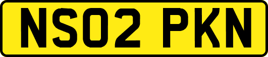 NS02PKN