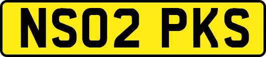 NS02PKS