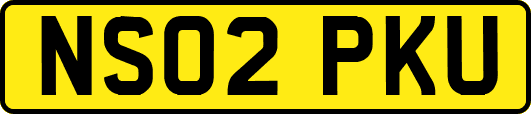 NS02PKU