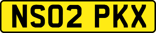 NS02PKX