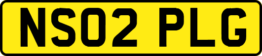 NS02PLG