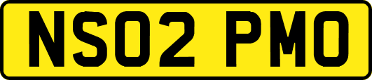 NS02PMO