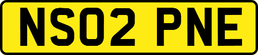 NS02PNE