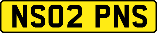 NS02PNS