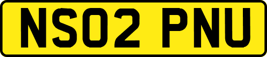 NS02PNU