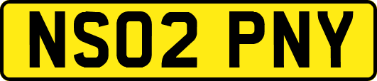 NS02PNY