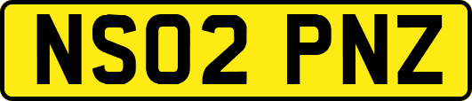 NS02PNZ