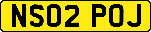 NS02POJ