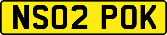 NS02POK