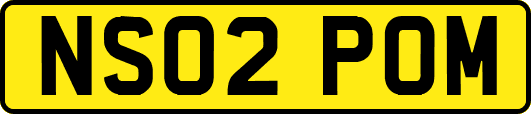 NS02POM