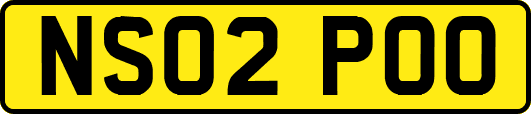 NS02POO