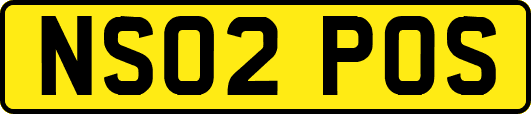 NS02POS